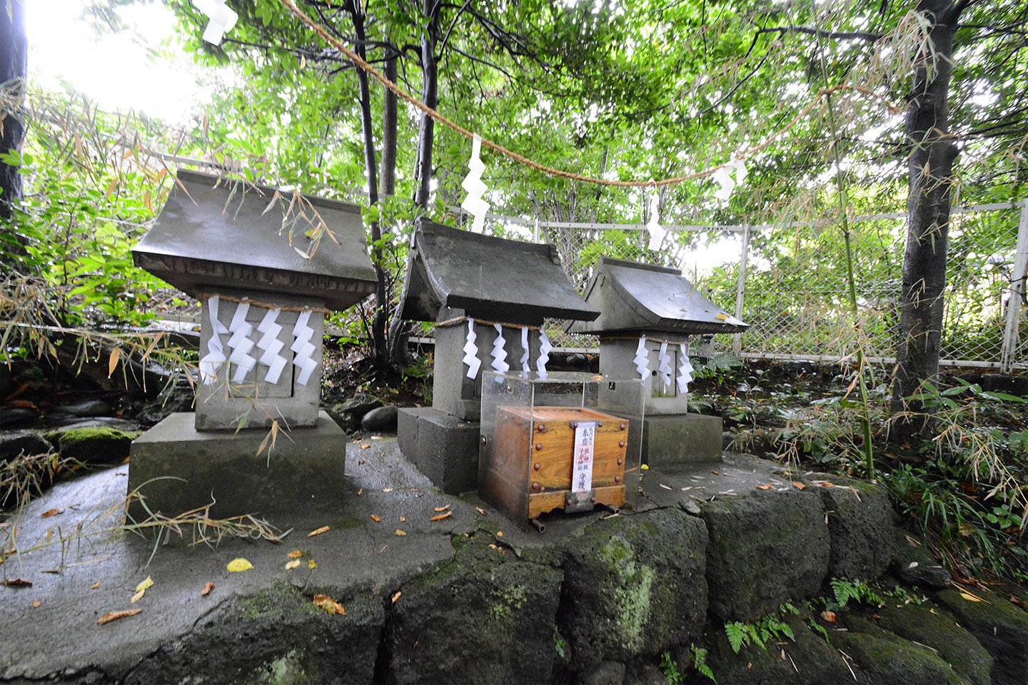 🏞️ 카자아나 - 카미하야시 삼림 공원 (카자아나 - 카미하야시 포레스트 파크) 이미지 5